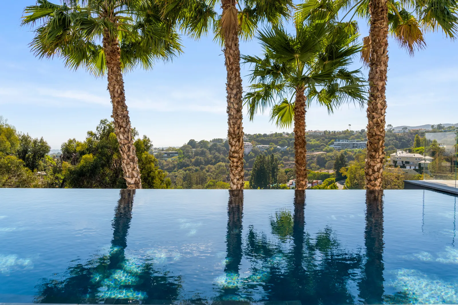Infinity-edge pool reflecting a row of palms above the canyon at Stradella Residence