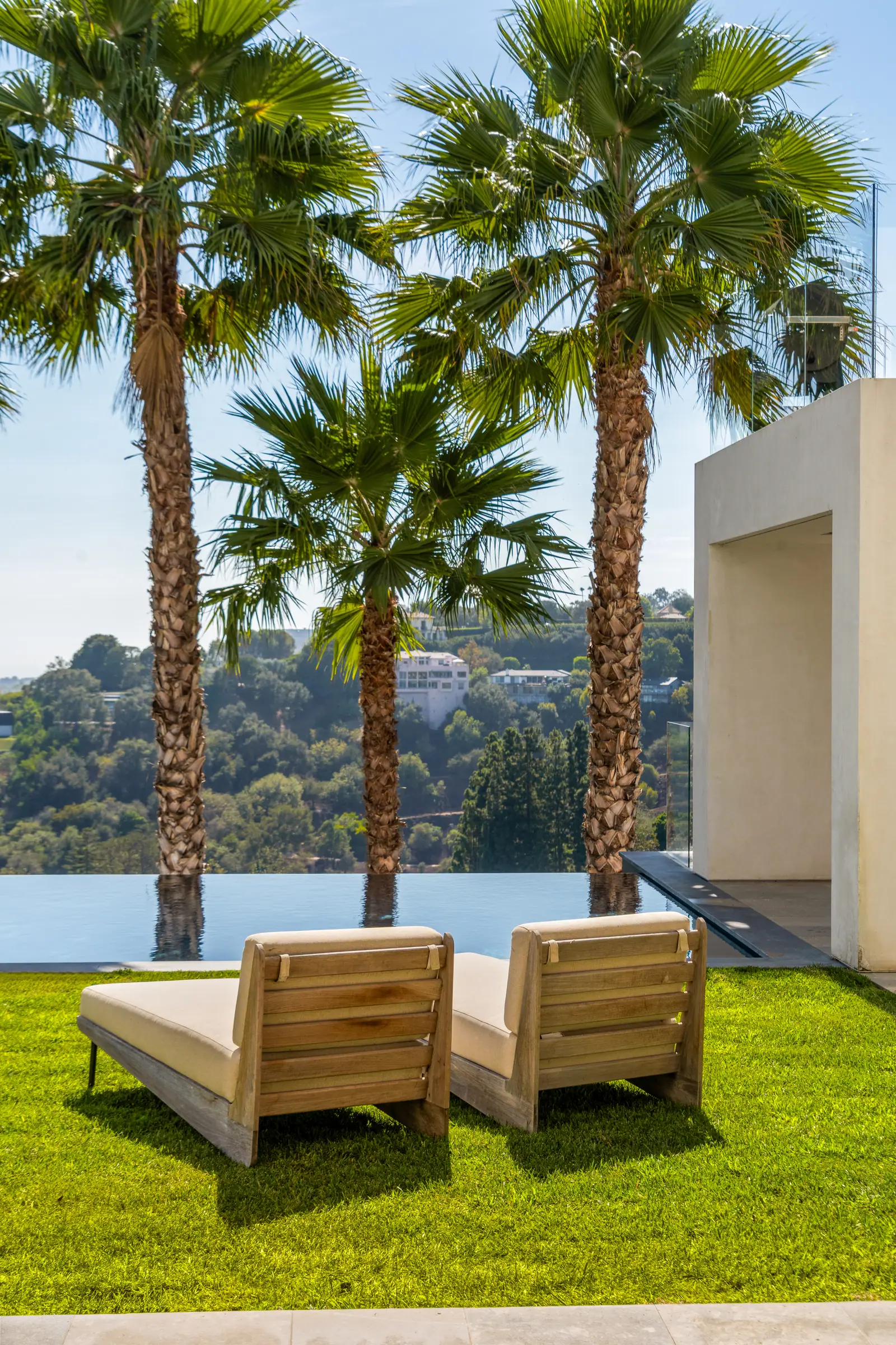 Timber loungers on the lawn beneath the palms